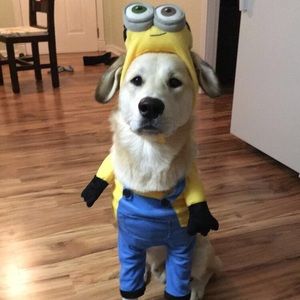 Dog Minion Halloween costume
